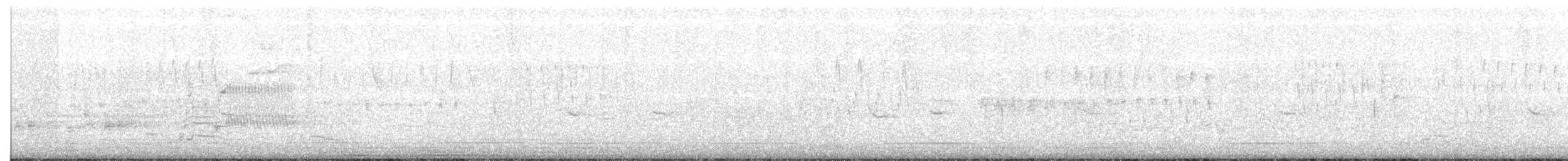 Virginia Rail - ML102566021