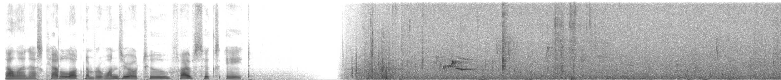 Ak Karınlı Çıtkuşu [leucogastra grubu] - ML102568