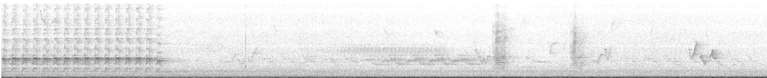 Pileated Woodpecker - ML102589691