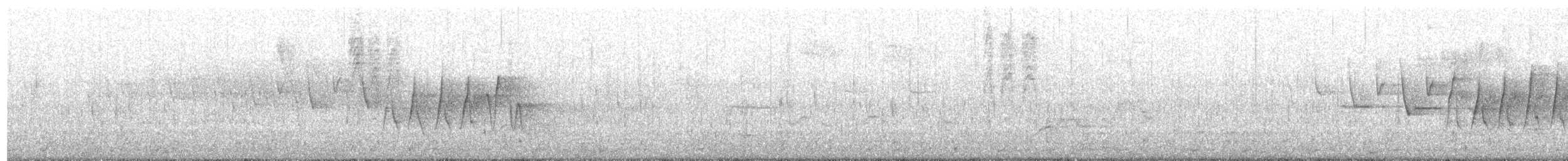 Northern Waterthrush - ML102593071