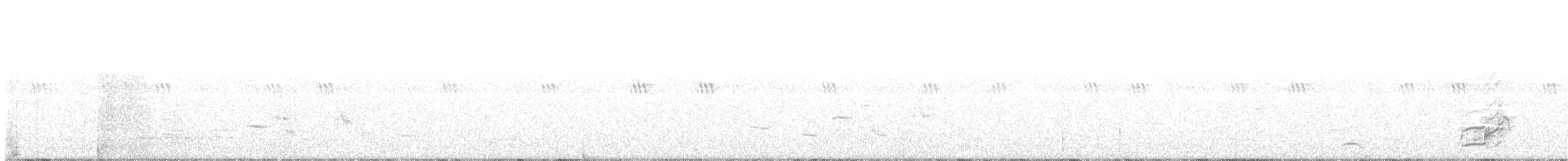 Перепелиця віргінська х строкатобока - ML102593691