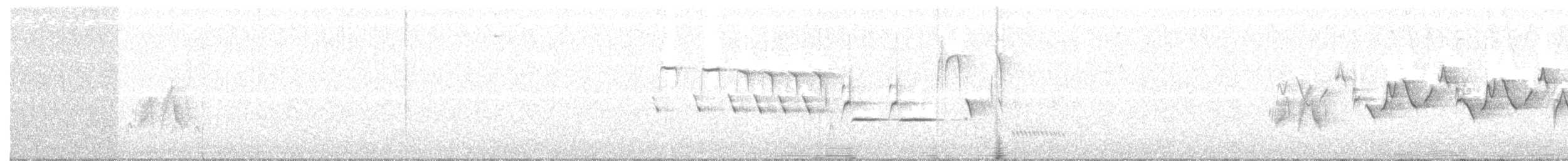tyranovec olšový - ML102594601