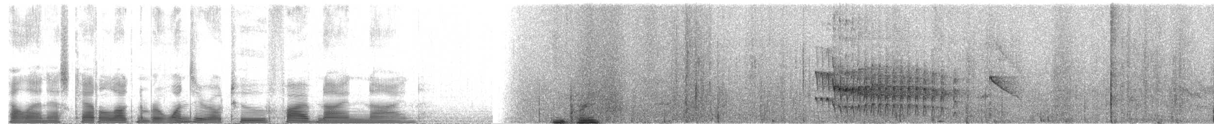 Anabate de Sclater (cervinigularis) - ML102599