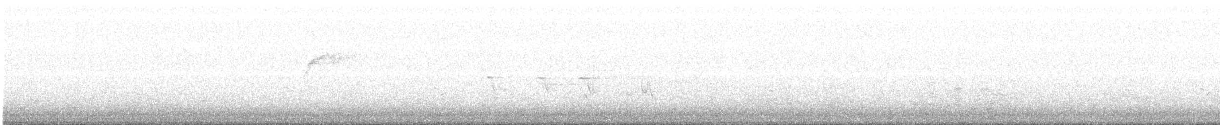 tyranovec vrbový - ML102647241