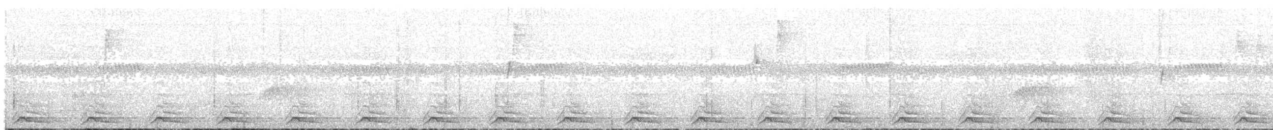Black-tailed Trogon - ML102655751