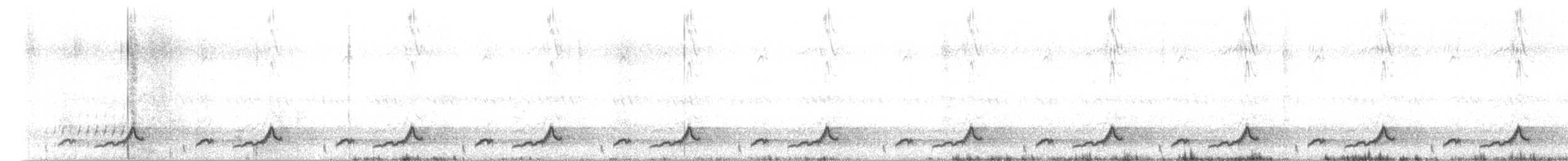 Schwarzkehl-Nachtschwalbe - ML102663071