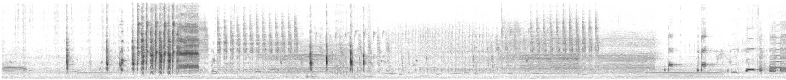 Troglodyte des marais - ML102673361