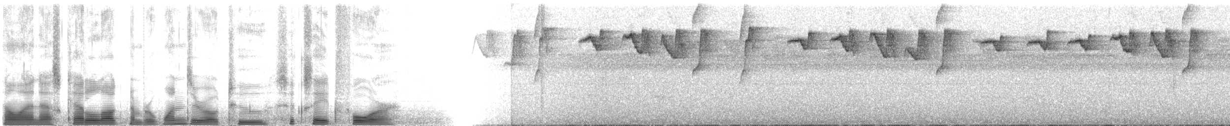 Карликовый колибри-отшельник - ML102684