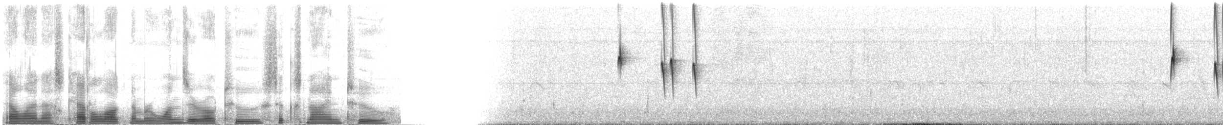 Tyranneau à toupet (subcristata/straminea) - ML102692