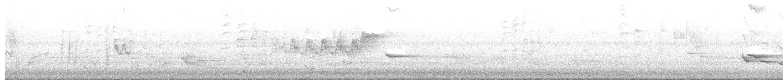 Northern Parula - ML102705371