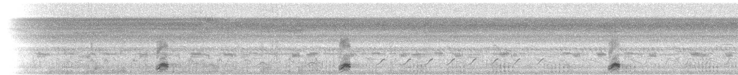 Black-crowned Night Heron - ML102730891