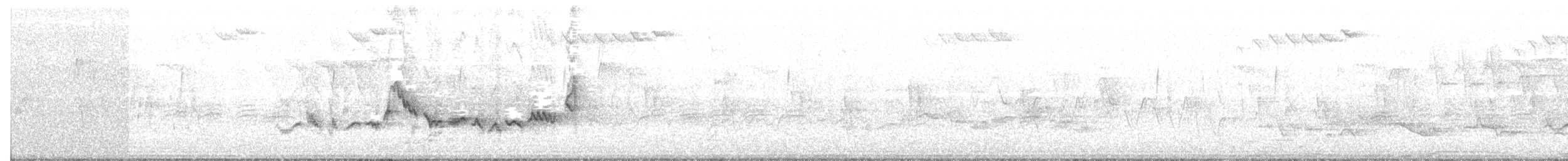 Warbling Vireo (Eastern) - ML102733771