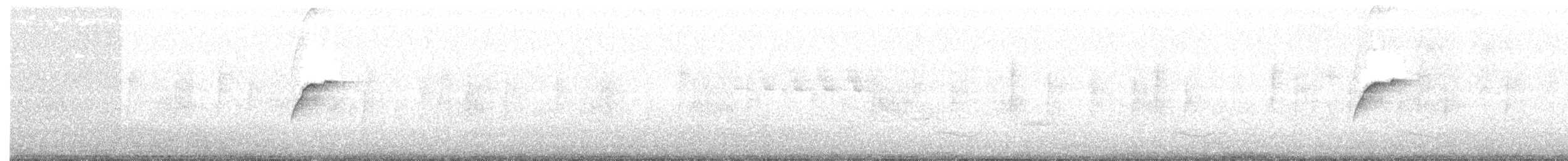 Batı Amerika Sinekkapanı (occidentalis/hellmayri) - ML102764991