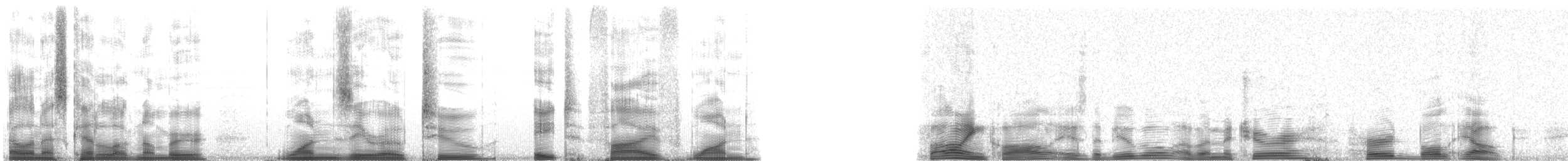 American Elk - ML102851