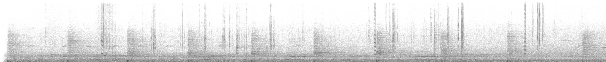 Sittelle à poitrine blanche (carolinensis) - ML102882401