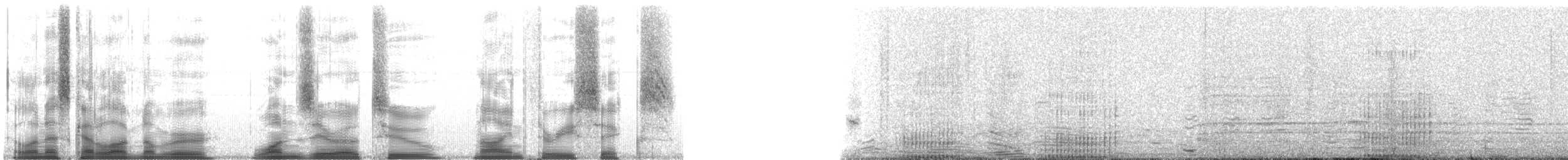 American Bison - ML102936