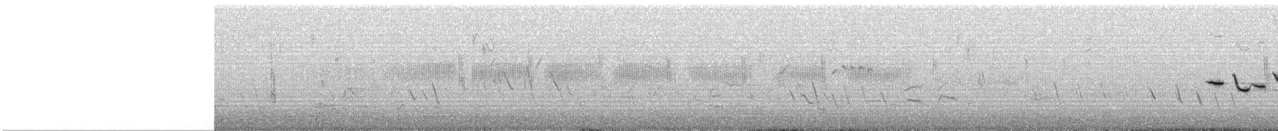 englerketrupial (magna gr.) - ML102947801