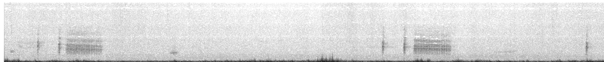 King Rail - ML102948641