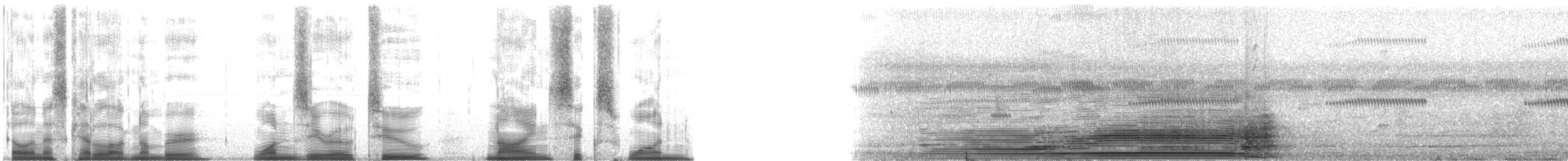 Domestic Cattle - ML102961