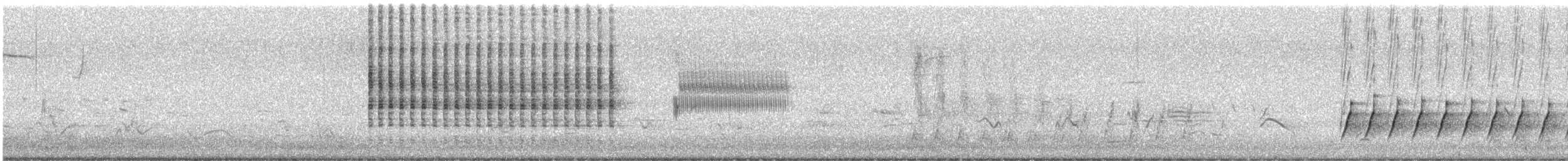 Ictérie polyglotte - ML102978561