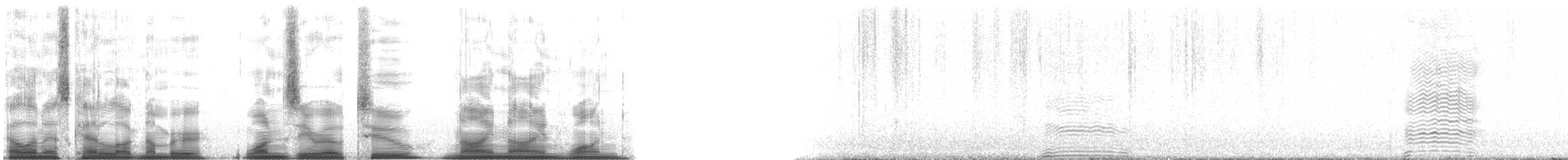 Domestic Goat - ML102991