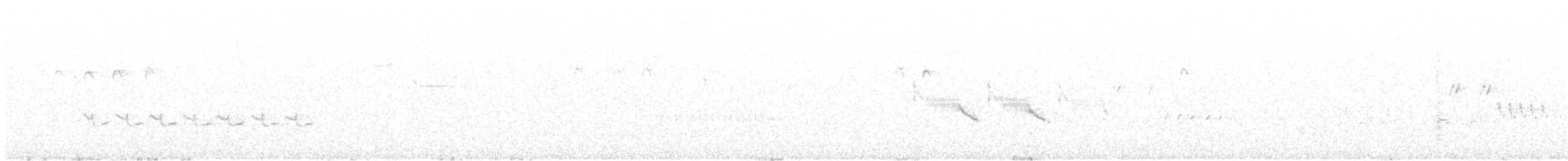 Kaya Çıtkuşu - ML102999261