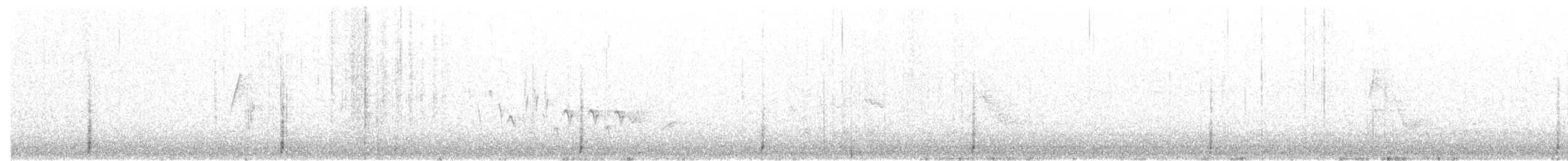 krocan divoký - ML103002181