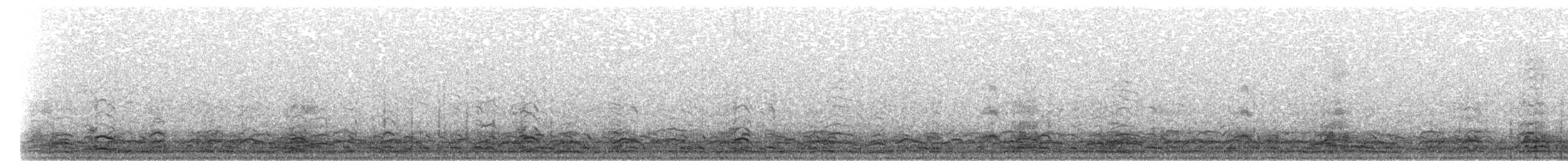 Snow Goose - ML103033141