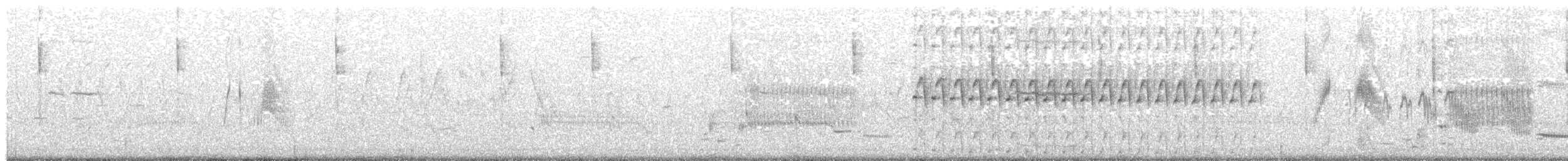 tyranovec vrbový - ML103056261