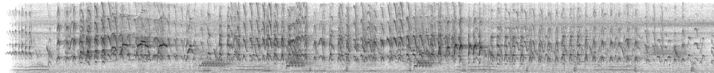 Rotschnabel-Pfeifgans - ML103085321