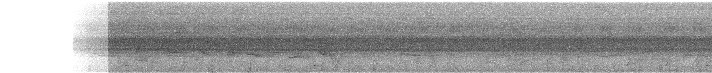 Окулярник ранонгійський - ML103099811
