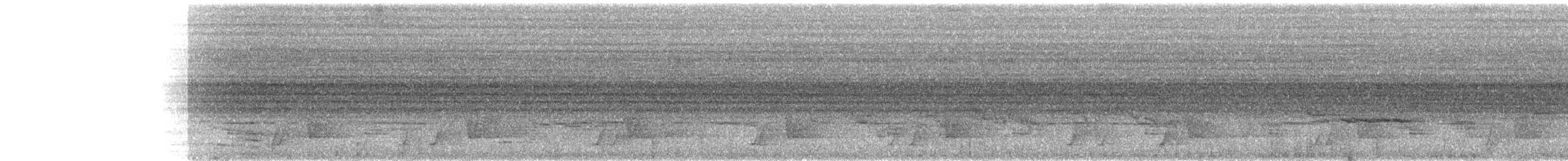 White-capped Monarch - ML103099831