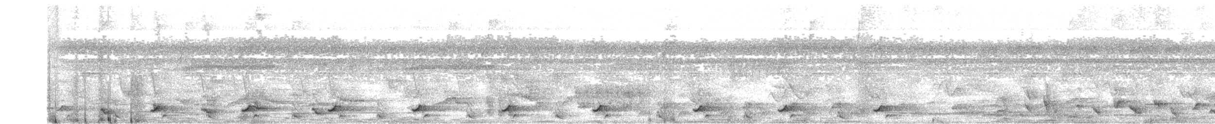 Bicolored Wren - ML103103961