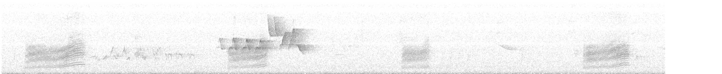 Spotted Towhee - ML103137151