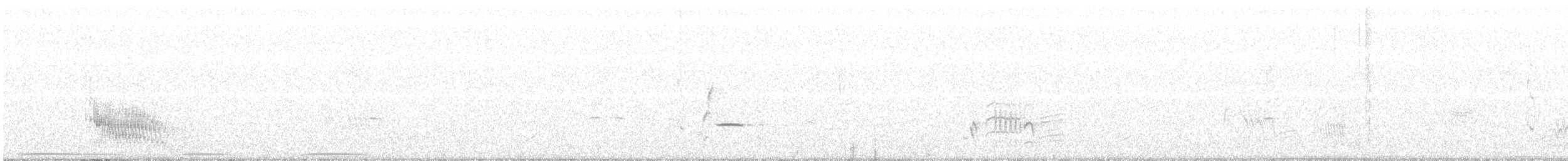 Phainopepla - ML103137321