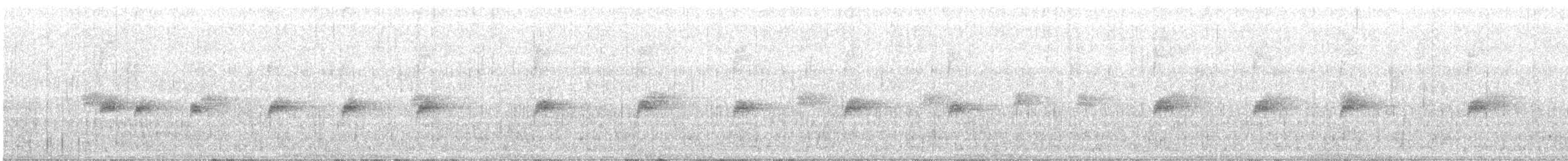 Canyon Wren - ML103137381