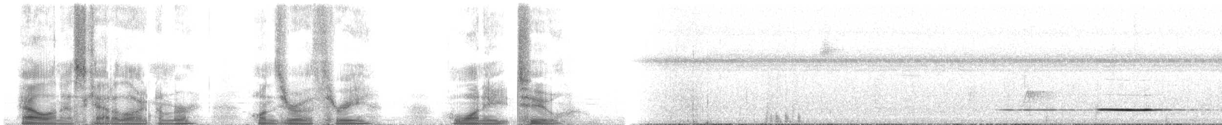 Кустарниковый скрытохвост [группа cinnamomeus] - ML103182