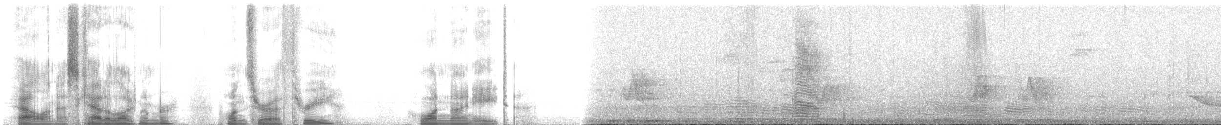 Troglodyte à nuque rousse (groupe capistratus) - ML103198