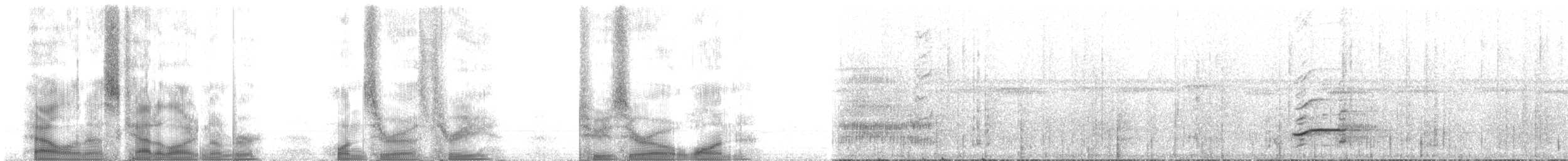 Краснобрюхая которра - ML103201