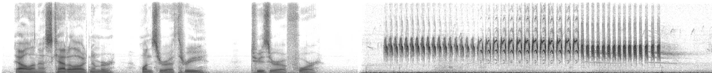 צלוב-מקור לבן-כנף - ML103204