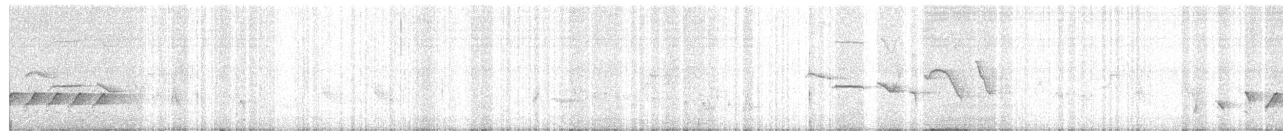 svarthodelarveeter - ML103214881