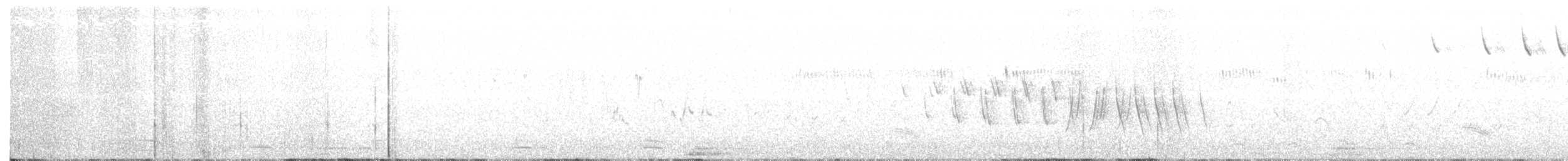 Пестрогрудая овсянка [группа schistacea] - ML103228721