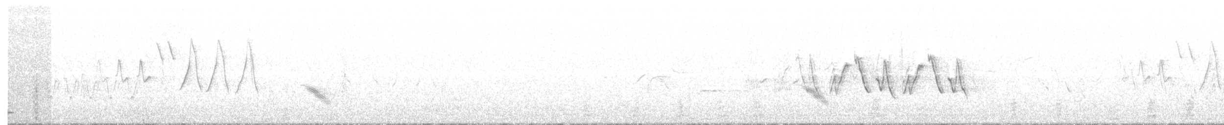 Common Yellowthroat - ML103229081