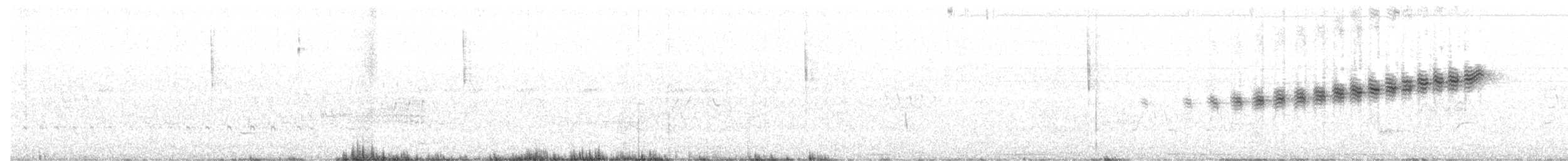 Prairie Warbler - ML103238011
