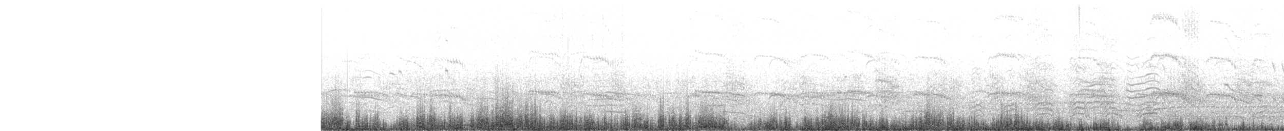 Eider à duvet (mollissima) - ML103252241