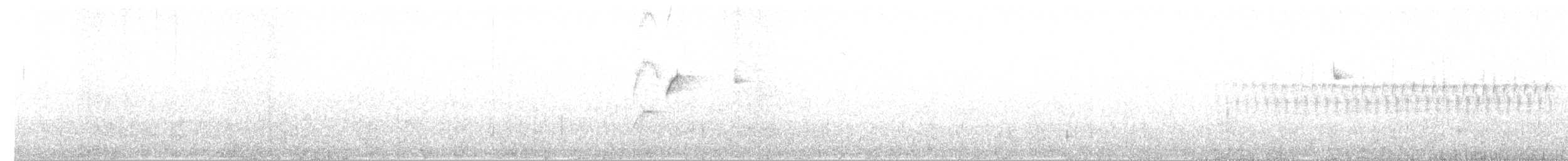 Batı Amerika Sinekkapanı (occidentalis/hellmayri) - ML103276641