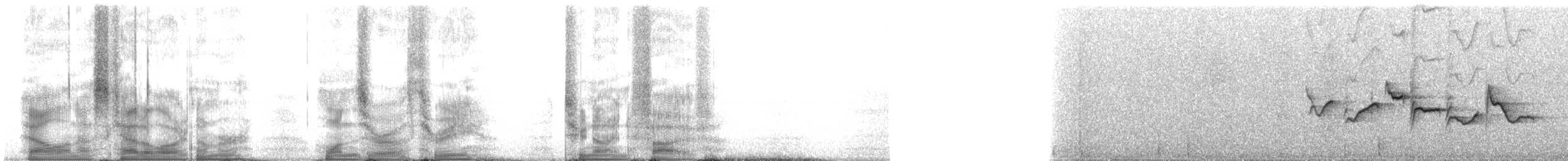 Серогорлая гранателла - ML103295