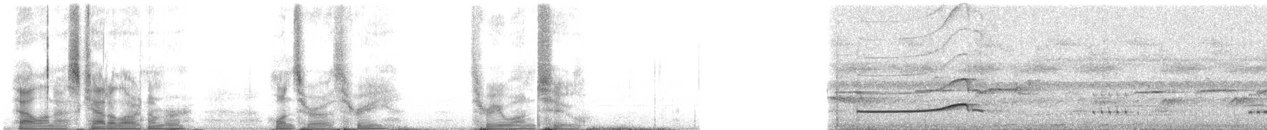 Юкатанский миарх - ML103312