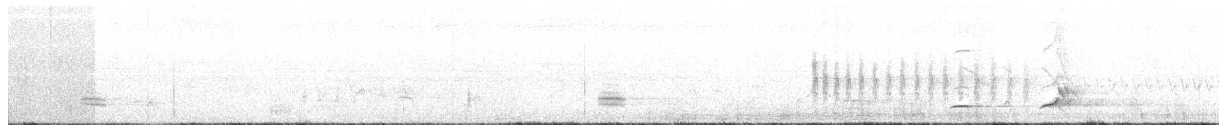 Виргинский перепел - ML103333811