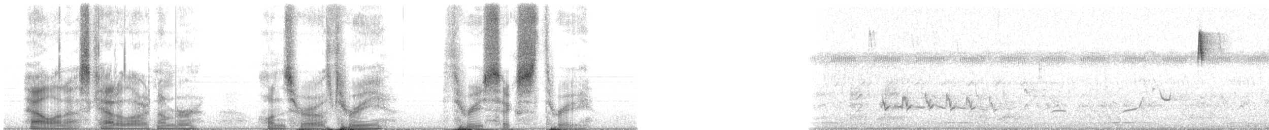 Botteri's Sparrow (Peten) - ML103363